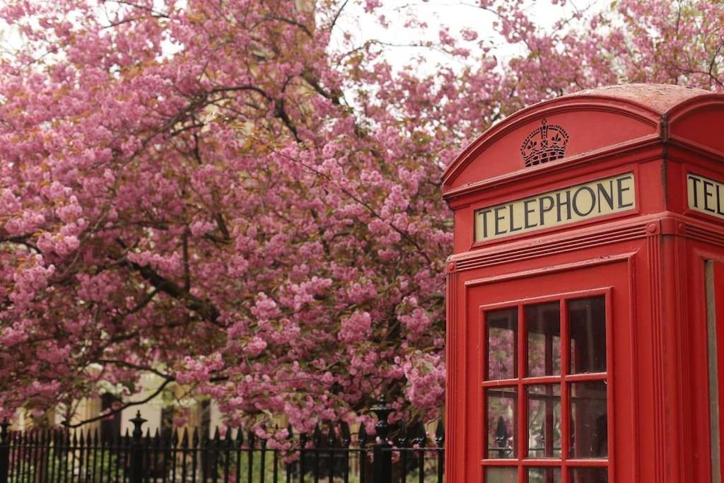 Comfy Flat In Heart Of * Londra